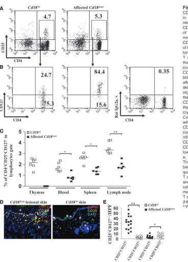 Figure 2CD4+CD25+CD127– Tregs are decreased in numbers in affected Cd18hypo PL/J mice