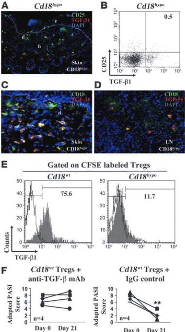 Figure 5TGF-1 is causal for the suppressive function of 