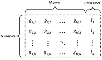 Figure 1: N × M microarray dataset  