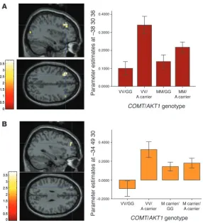 Figure 2Functional neuroimaging. (