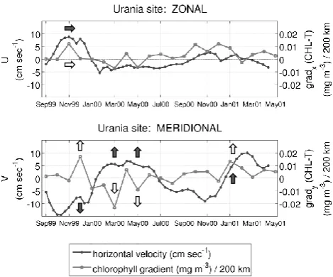 Fig. 14. Urania site: simulated current horizontal velocities at 90 mdepth (cm s−1) and SeaWiFS chlorophyll-a concentration (CHL-T) gradients computed over a 200 km side area (mg m−3/200 km).Top:zonal velocities (U) and zonal CHL-T gradients;bot-tom:meridi
