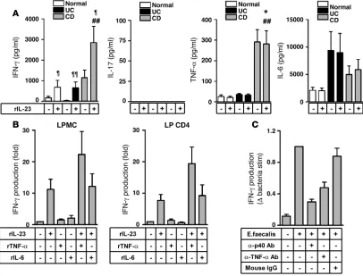 Figure 5Intestinal macrophage-derived IL-23 induced IFN-γ production by LPMCs, and LP CD4+ T cells synergize with TNF-α in patients with CD