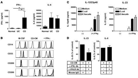 Figure 7IFN-γ in CD-CM promotes IL-23–hyperproducing proinflammatory macrophage differentiation