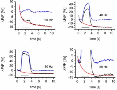 Figure 21: Fractional fluorescence changes ∆F/F [%] of GCaMP 1.3. Shown are the mean traces of 