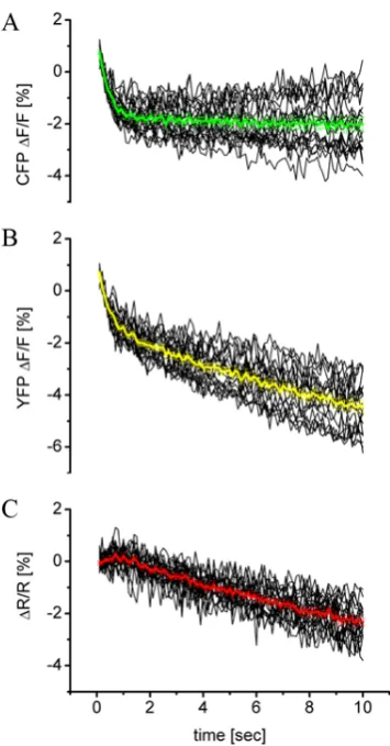 Figure 26: The relative fluorescence change ∆ratio change F/F of CFP (A) and Citrine (B) and the relative ∆R/R (C) calculated for 20 boutons of a YC 3.3-expressing larval NMJs at rest
