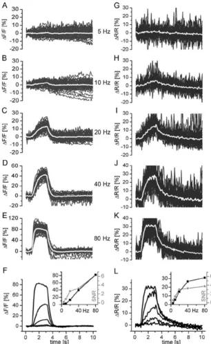 Figure 29: Linearity and SNR of fluorescence signals at different stimulation frequencies (A: 5, B: 
