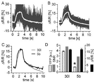 Figure 30: Kinetics and SNR of two UAS-YC 2.3 lines expressing different amounts of indicator 