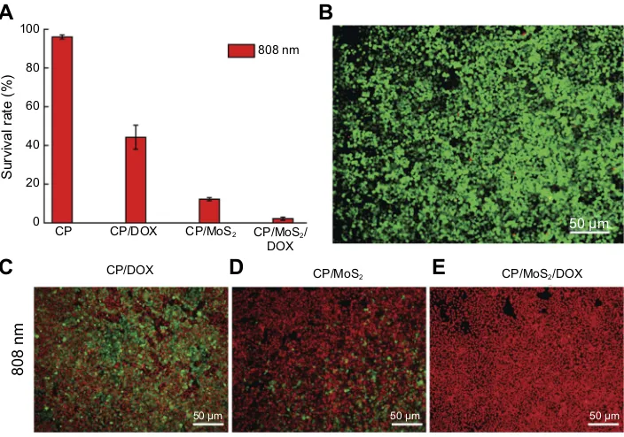 Figure 7 In vitro therapeutic efnanoAbbreviations:ﬁcacy of crosslinked nanoﬁbers. (A) In vitro photothermal therapy and chemotherapy of CP, CP/DOX, and CP/MoS2 and CP/MoS2/DOXﬁbers