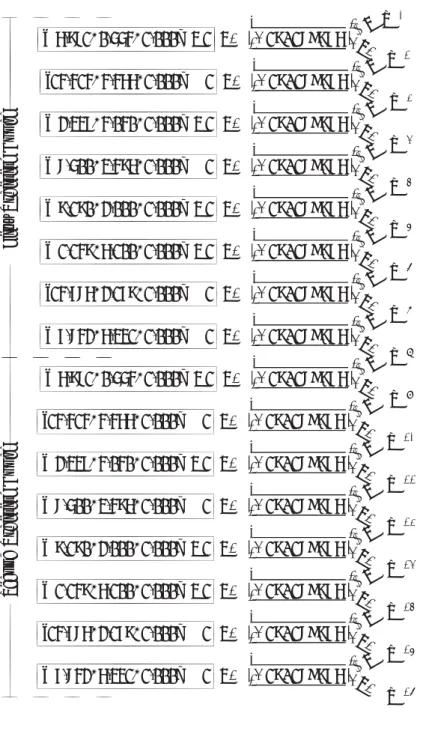 Figure 1.13: Applying the Perceptron Training Algorithm