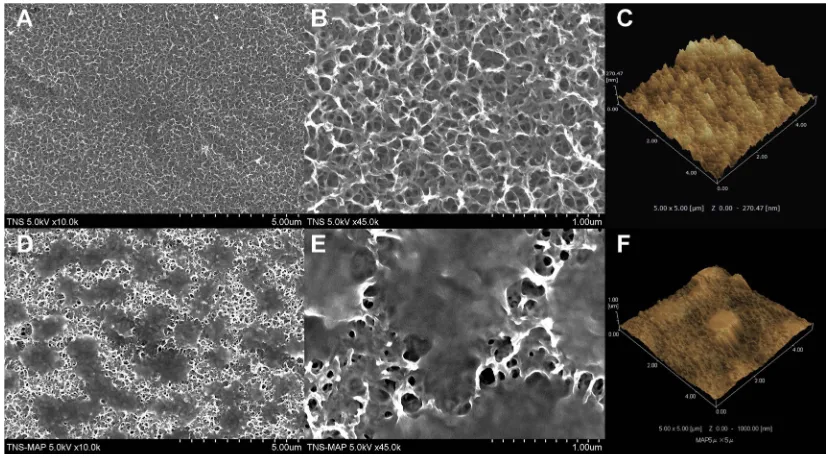 Figure 1D shows MAP thoroughly coating the TNS surface