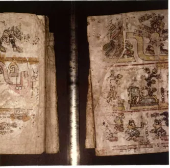 FIGURE 5.Codex Colombino original manuscript. At the left, page 16 and the