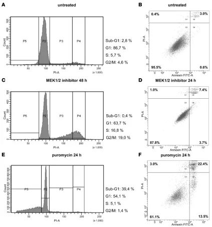 Figure 4Functional analyses of low-grade glioma cell lines after pharmacological inhibition of MAPK signaling