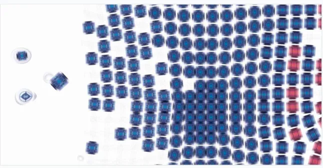 Figure 14.7.  SELF-ASSEMBLY . The tissue is modeled by using a force-based algorithm in which the connections  between elements are springs that pull at neighboring elements