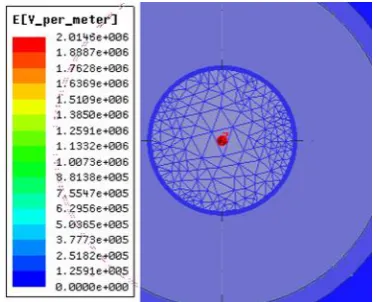 Fig 3. Meshed top view of the electrode in water at 20 kV/cm  