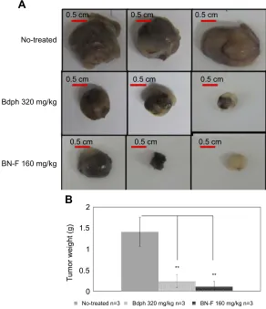 Figure S3 (A) Appearance and (B) weight of tumors from rats sacriﬁced at 37 days with or without treatment