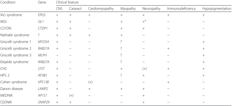 Table 3 Syndromes showing phenotypical overlap with Vici syndrome (selection)
