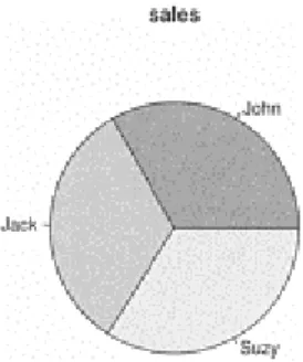 Figure 2.4 An example of a pie  chart. Can the sales leader be  identified? 
