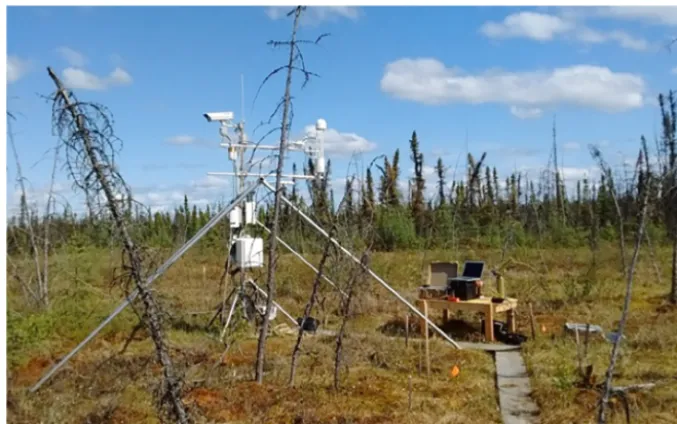 Table 1. Parameters used to calculate mini-LHR averaging kernels for the Bonanza Creek site