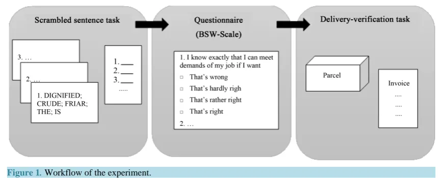 Figure 1. Workflow of the experiment.                                                                            