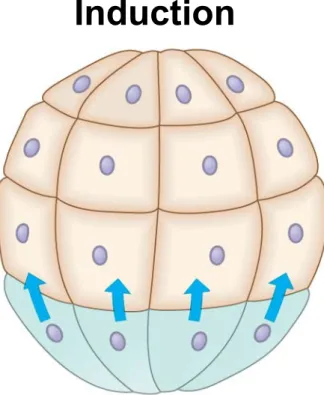 Figure 16.UN02