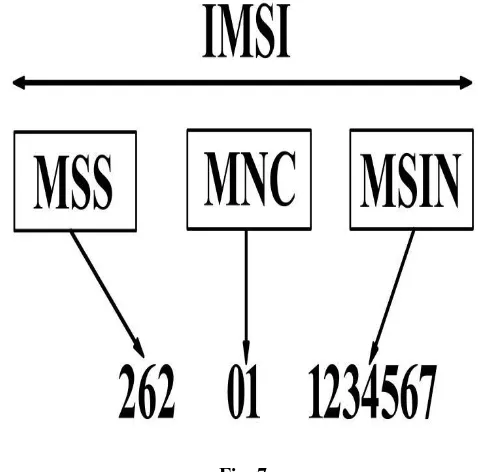 Fig. 5: The digit format of ICCID 