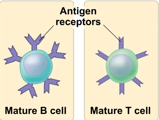 Figure 35.UN01