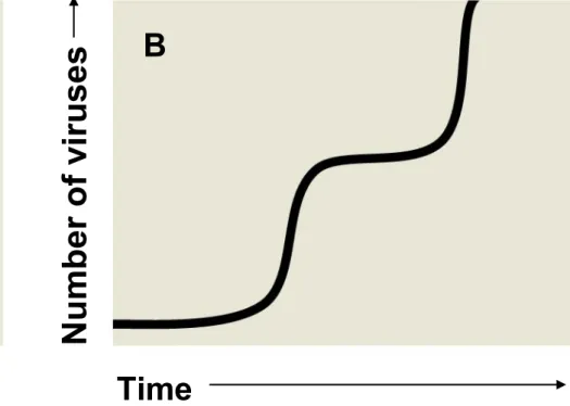 Figure 17.UN04