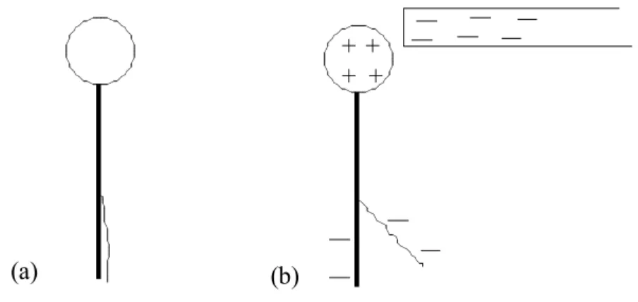 Fig. 2.  a) If the electroscope is neutral and no charges are close by, the leaf will  hang straight down