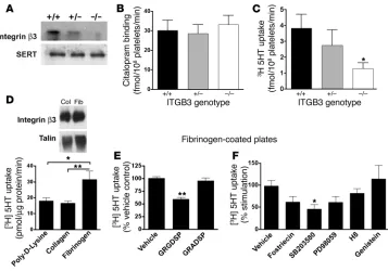 Figure 2Integrin regulation of SERT function. (