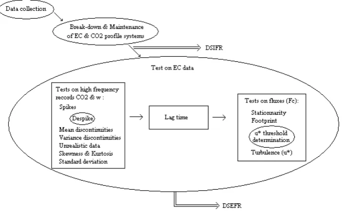 Fig. 1. General scheme of the data check procedure including the different tests applied on the data belonging to the Data Set Includ- ing/Excluding Flagged Records (DSIFR/DSEFR).Fig