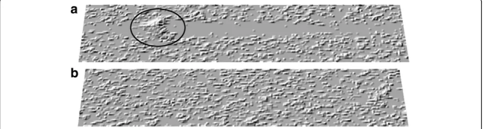 Fig. 1 Sand patches repeatedly appearing and disappearing. An identical run (average sand thickness of 0.65) is shown at different times: a 35,000steps, b 50,000 steps; the sand moves from the left to right
