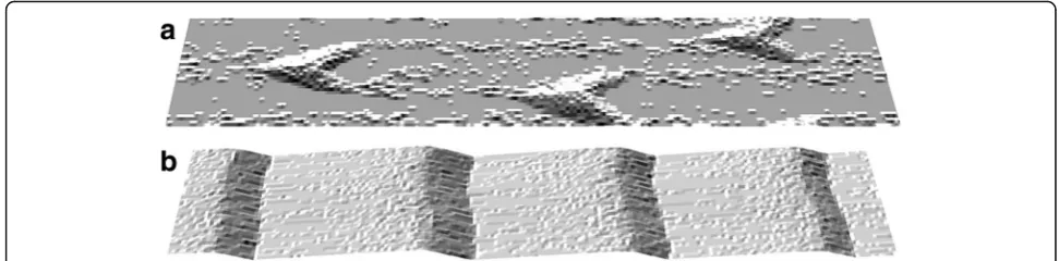 Fig. 2 Calculated topographies from the oblique view.(10 a Isolated ripples (barchan ripples) and b continuous ripples; shown for the same time5 steps), with average sand thicknesses of 1.0 and 30, respectively