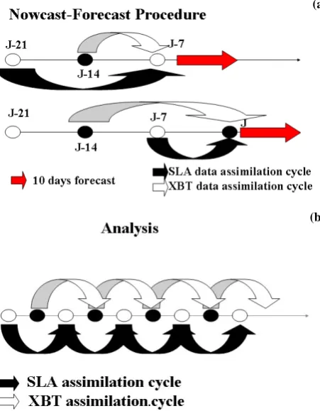 Fig. 4. The scheme of sequential assimilation of SLA and XBT data(a) in the nowcast-forecast procedure and (b) in the analysis.