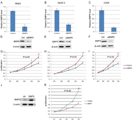 Figure 2. BMP9 expression negatively correlated with the proliferation of osteosarcoma cells