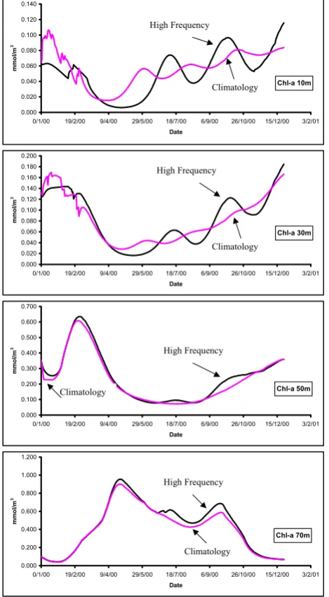 Fig. 8. Model chlorophyll simulations at various depths with clima-tological and real-time forcing.