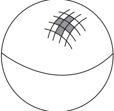 FIG. 2. The event horizon broken up into Planck area pixels.