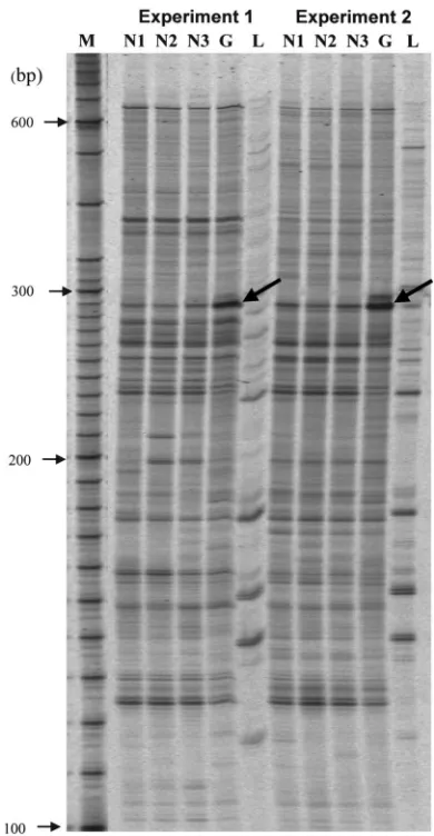 Figure 1Identification of 
