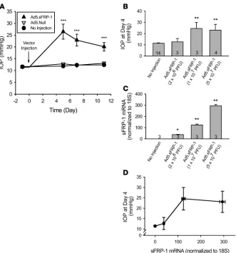 Figure 4Effects of Ad5.sFRP-1 on mouse IOP and 