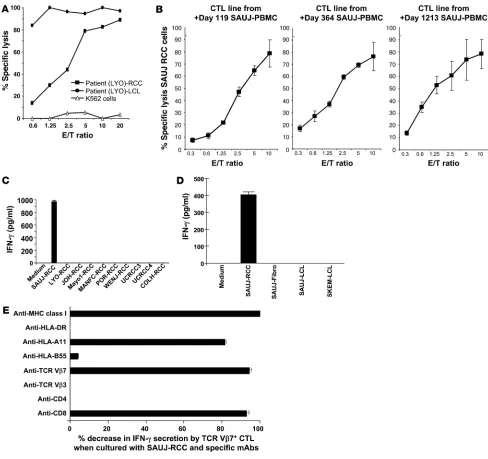 Figure 4Detection of RCC-reactive CD8