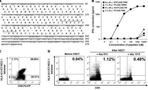 Figure 5Schematic drawing of the identified clones CT-RCC-8 and CT-RCC-9 