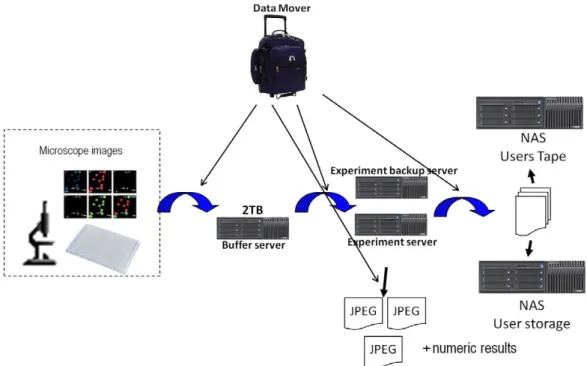 Fig. 2. Illustration of Data Mover function in High Content Screening informatics infrastructure.