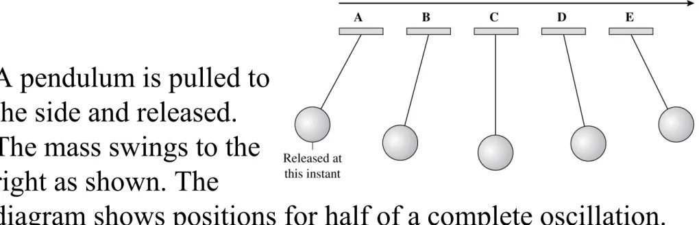 diagram shows positions for half of a complete oscillation.