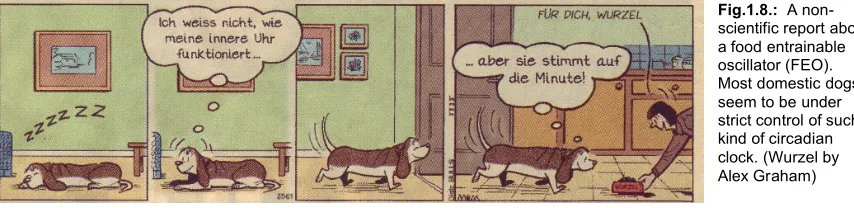Fig.1.8.: A non-