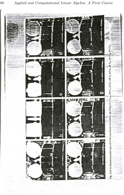 FIGURE 5.2: Compressing an image with the SVD.