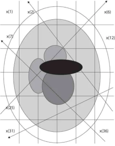 FIGURE 4.1: Line integrals through a discretized object.