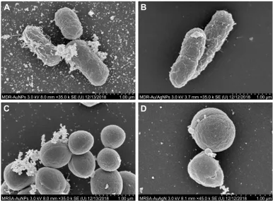 Table 4 Ic50 values for different noble metal NPs against MDrE. coli and Mrsa
