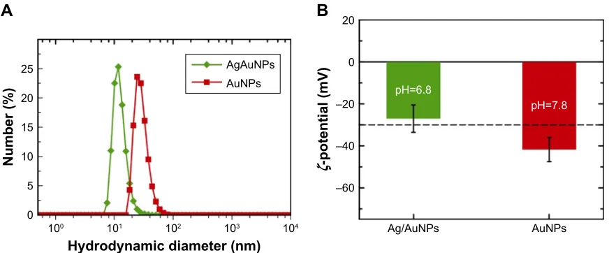 Figure 5 (A) hydrodynamic diameter distribution obtained by Dls and (B) ζ-potential values