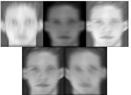 Fig -1:  input face images 
