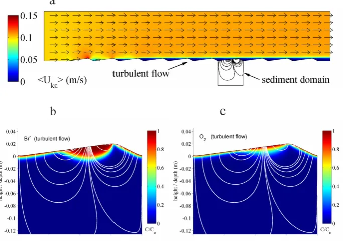 Fig. 5. Model [4], laminar variant: Unidirectional ﬂow over a ripple ﬁeld with laminar ﬂow conditions.���������� (a) velocity ﬁeld in the watercolumn; (b) ﬂow line pattern and bromide distribution after 12 h; (c) ﬂow line pattern and steady-state oxygen di