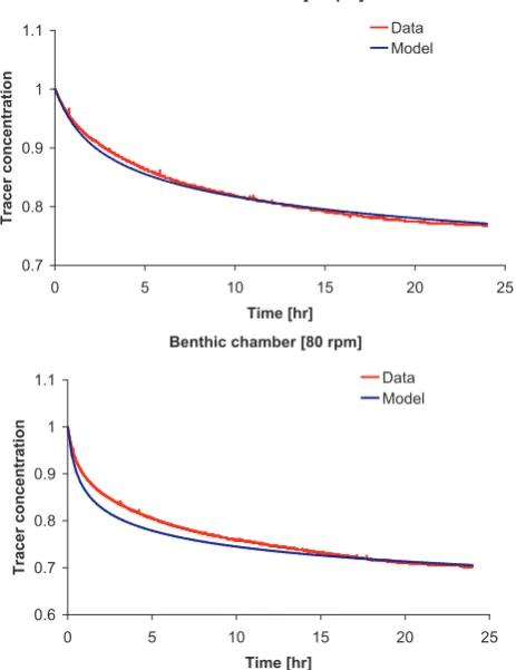 Fig. 7. Validation of the model [1] of the lugworm bio-irrigation.Comparison of the tracer evolution in the overlying water columnwith model prediction